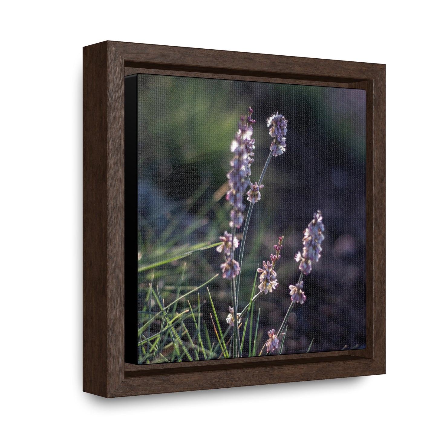 Macro purple flower photograph Gallery Canvas Wraps, Square Frame Canvas Printify   