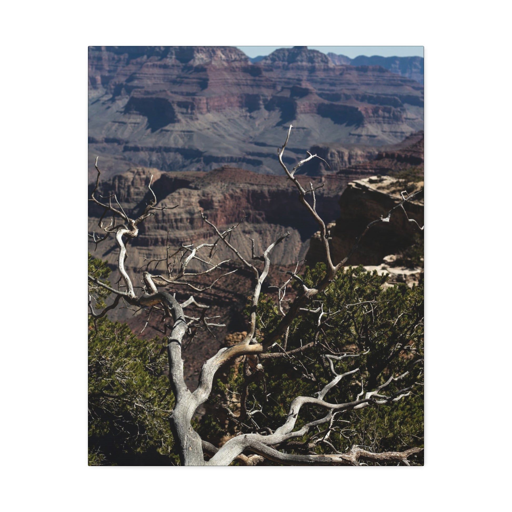 Grand Canyon Print Stretched Canvas Canvas Printify   