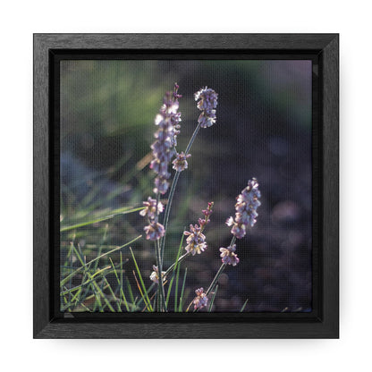 Macro purple flower photograph Gallery Canvas Wraps, Square Frame Canvas Printify   