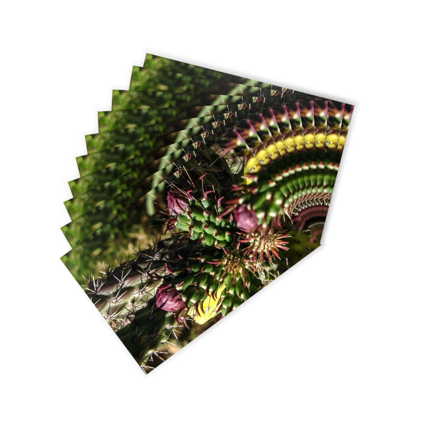 Cacti Postcards (10pcs) Paper products Printify   