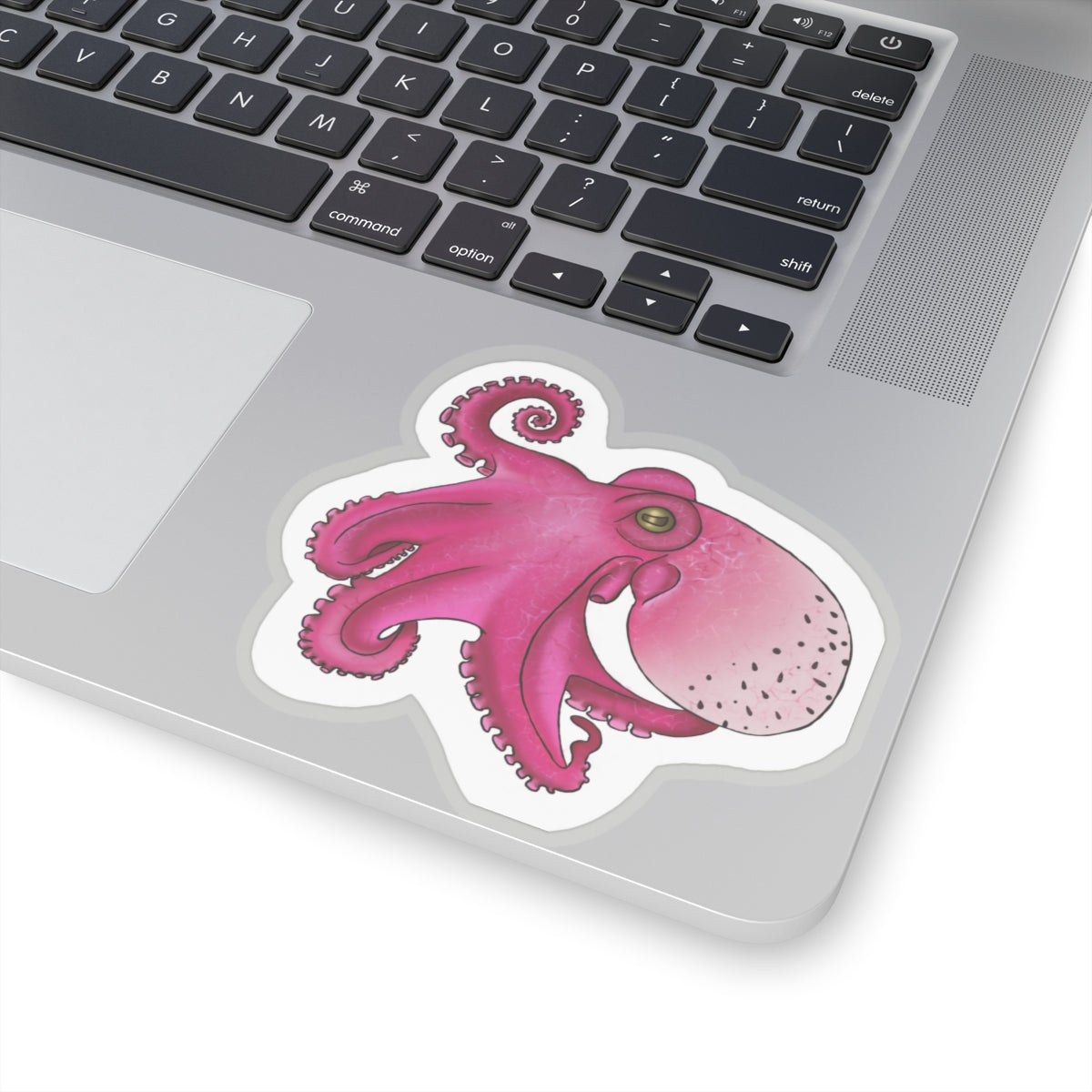 dragon fruit Octopus Kiss-Cut Sticker Paper products Printify 4" × 4" Transparent 