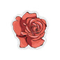 Rose Kiss-Cut Sticker Paper products Printify 6" × 6" Transparent 