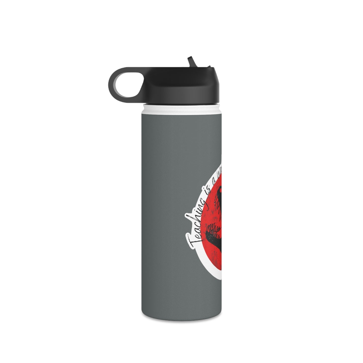 Teaching is a walk in the park Stainless Steel Water Bottle, Standard Lid Mug Printify   