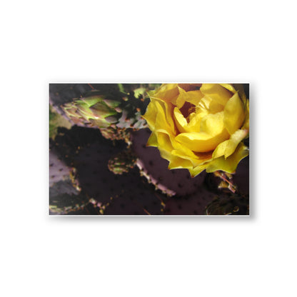 Yellow Cactus blossom Postcards (10pcs) Paper products Printify   