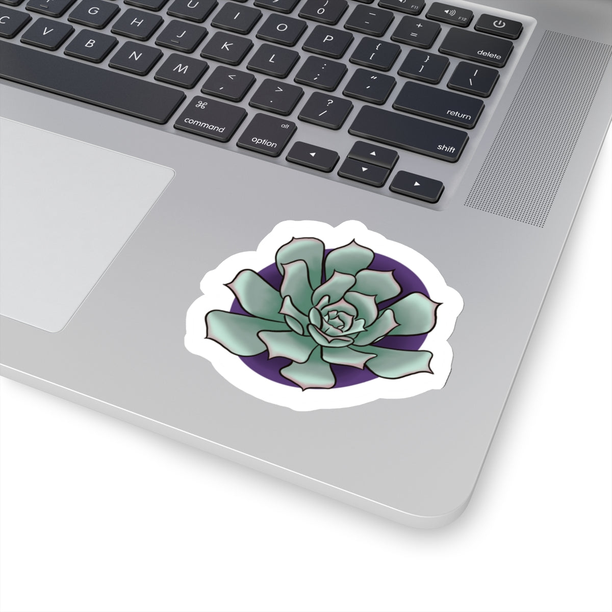 Succulent Kiss-Cut Sticker Paper products Printify 3" × 3" White 