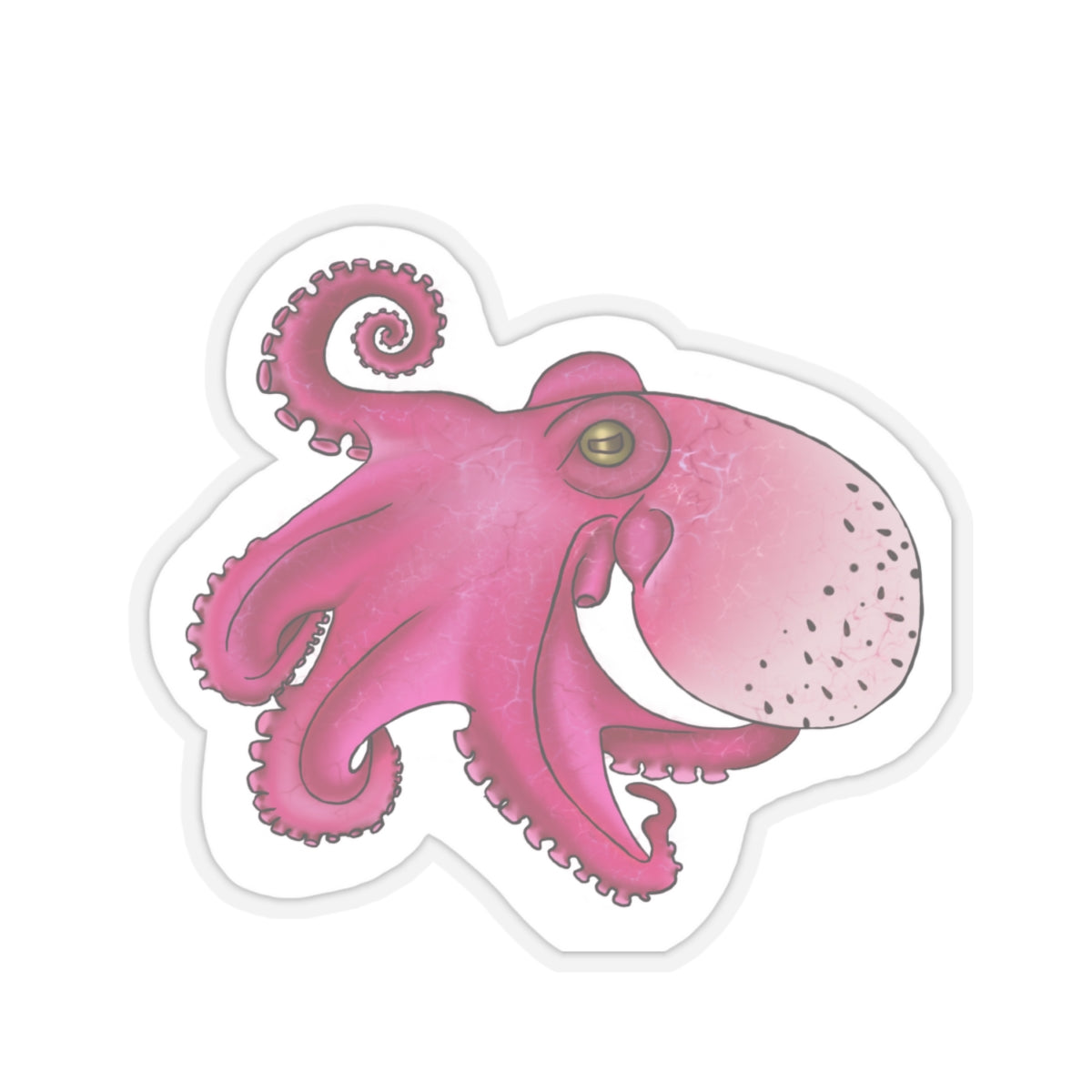 dragon fruit Octopus Kiss-Cut Sticker Paper products Printify   