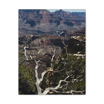 Grand Canyon Print Stretched Canvas Canvas Printify   