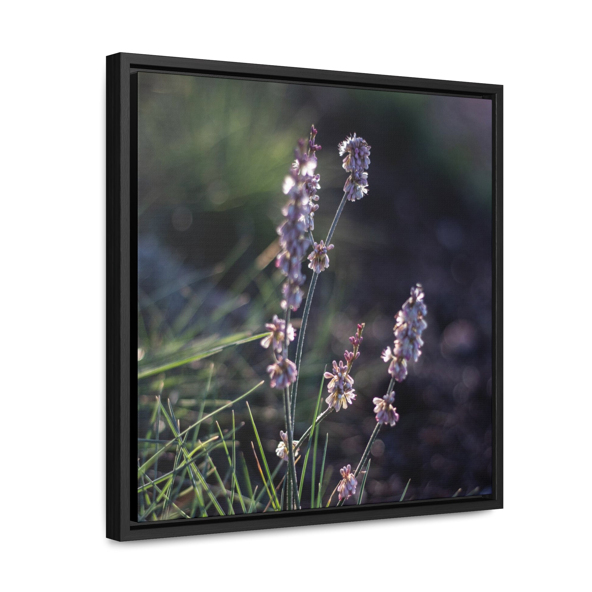 Macro purple flower photograph Gallery Canvas Wraps, Square Frame Canvas Printify   