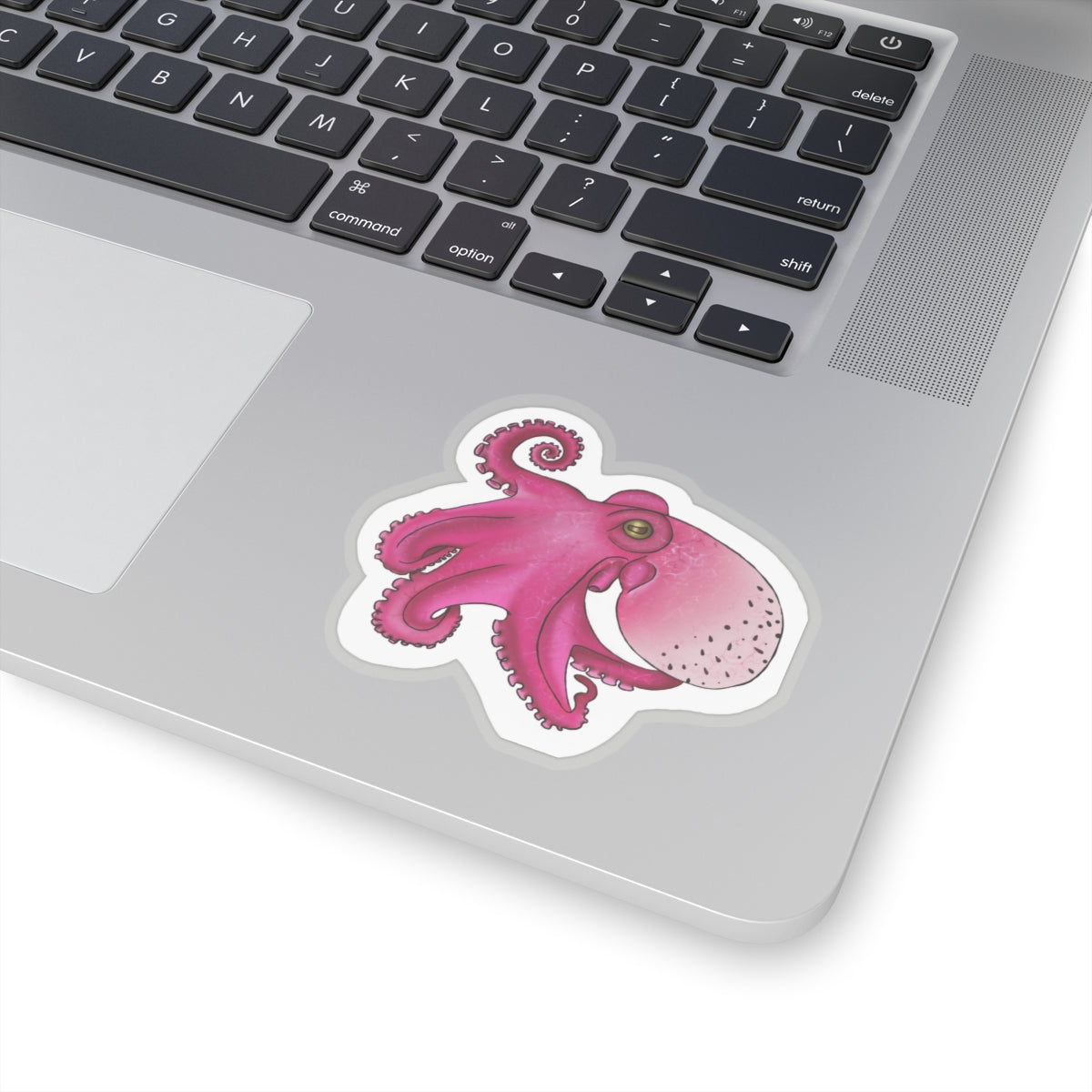 dragon fruit Octopus Kiss-Cut Sticker Paper products Printify 3" × 3" Transparent 