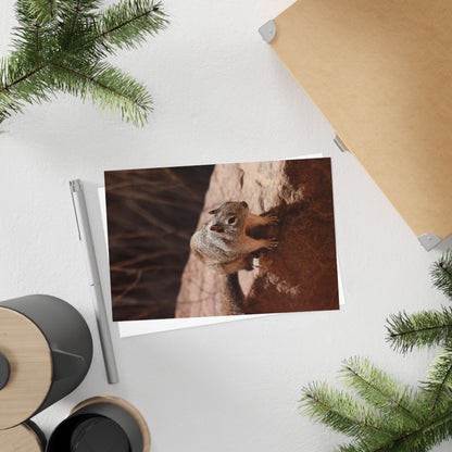 Squirrel Postcards (10pcs) Paper products Printify   