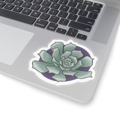 Succulent Kiss-Cut Sticker Paper products Printify 4" × 4" Transparent 