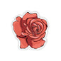 Rose Kiss-Cut Sticker Paper products Printify 4" × 4" Transparent 