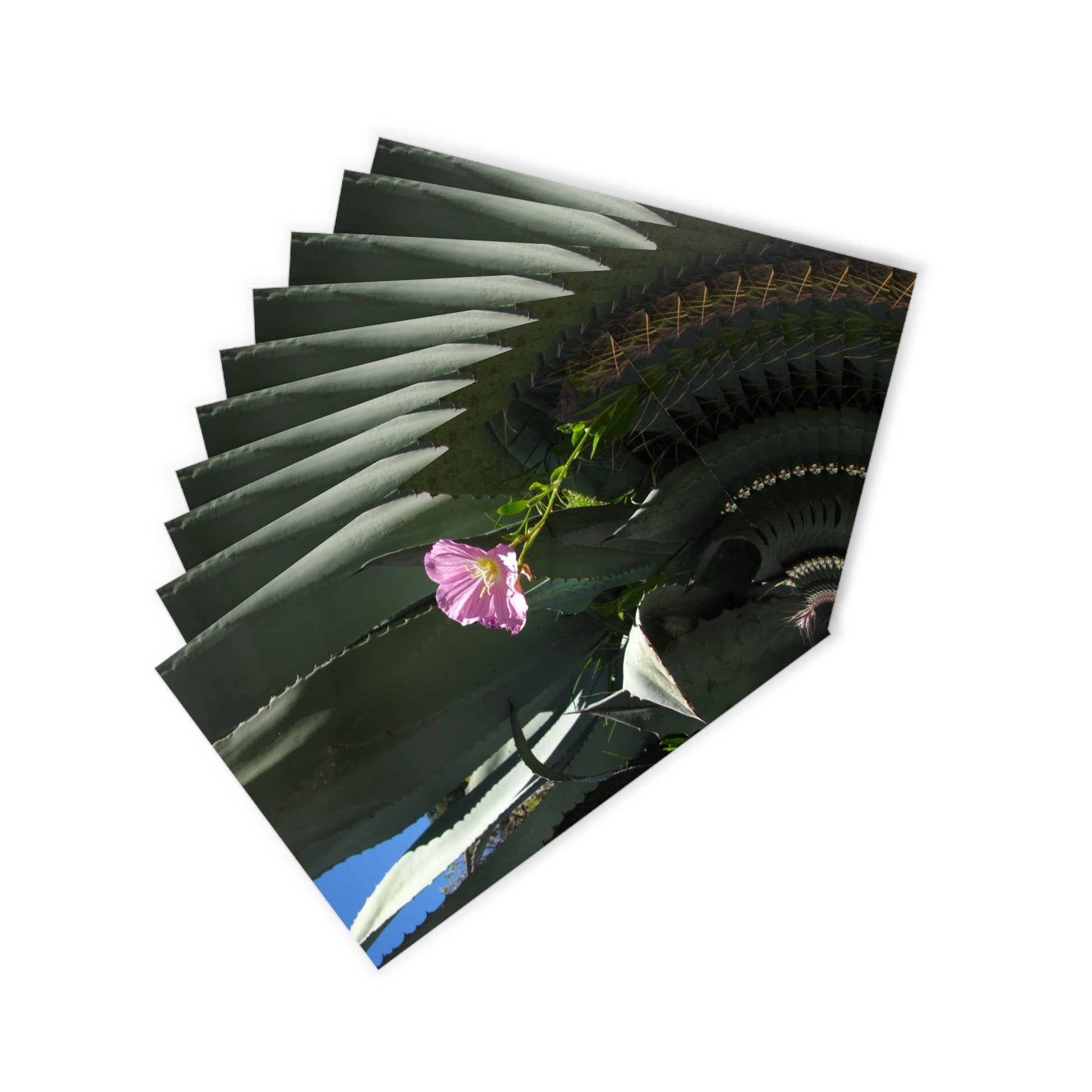 Cacti and flower Postcards (10pcs) Paper products Printify   