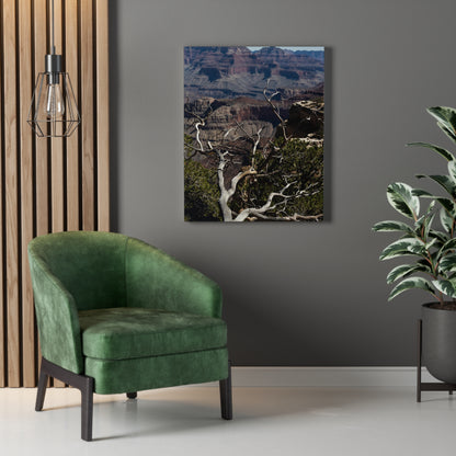 Grand Canyon Print Stretched Canvas Canvas Printify   