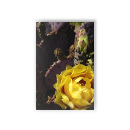 Yellow Cactus blossom Postcards (10pcs) Paper products Printify   