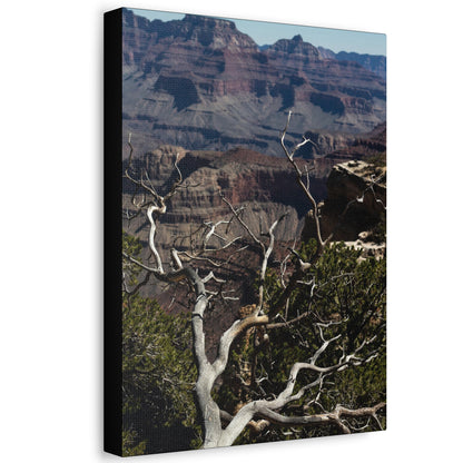 Grand Canyon Print Stretched Canvas Canvas Printify   