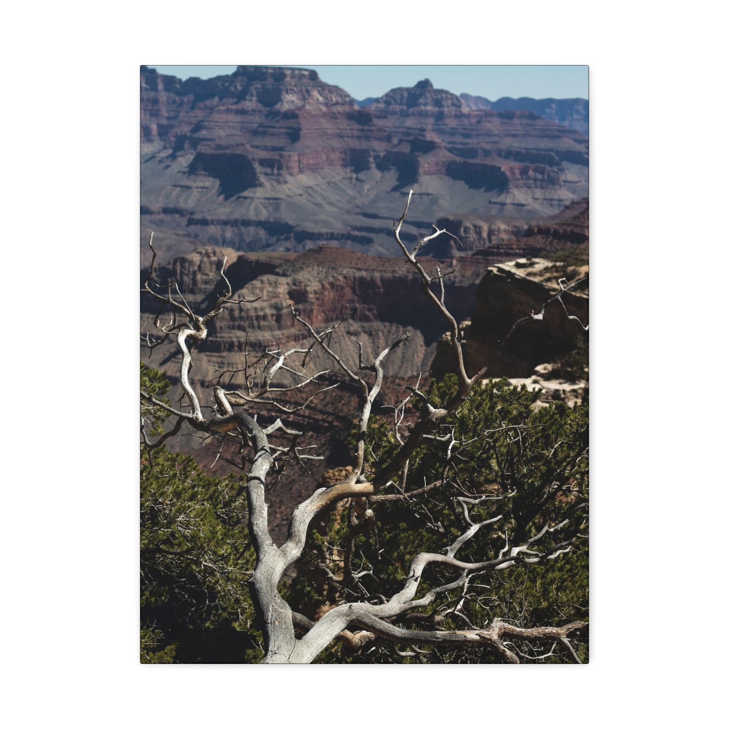 Grand Canyon Print Stretched Canvas Canvas Printify   