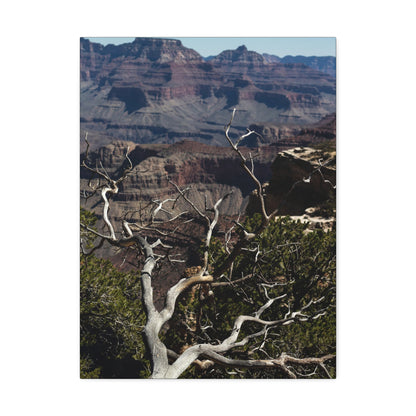 Grand Canyon Print Stretched Canvas Canvas Printify   