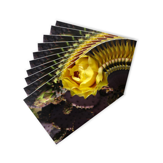 Yellow Cactus blossom Postcards (10pcs) Paper products Printify 10 pcs 3.9" x 5.9" White