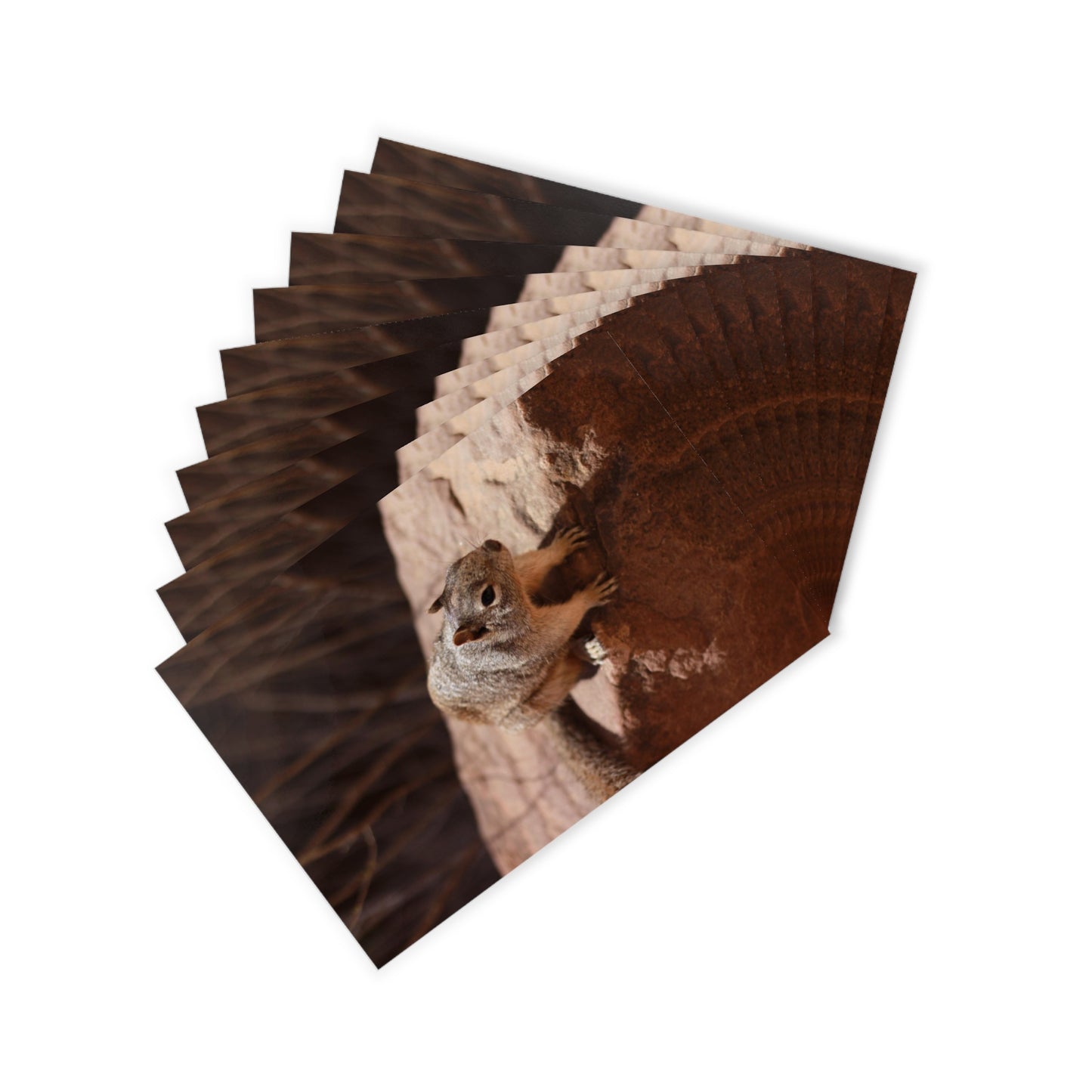 Squirrel Postcards (10pcs) Paper products Printify   