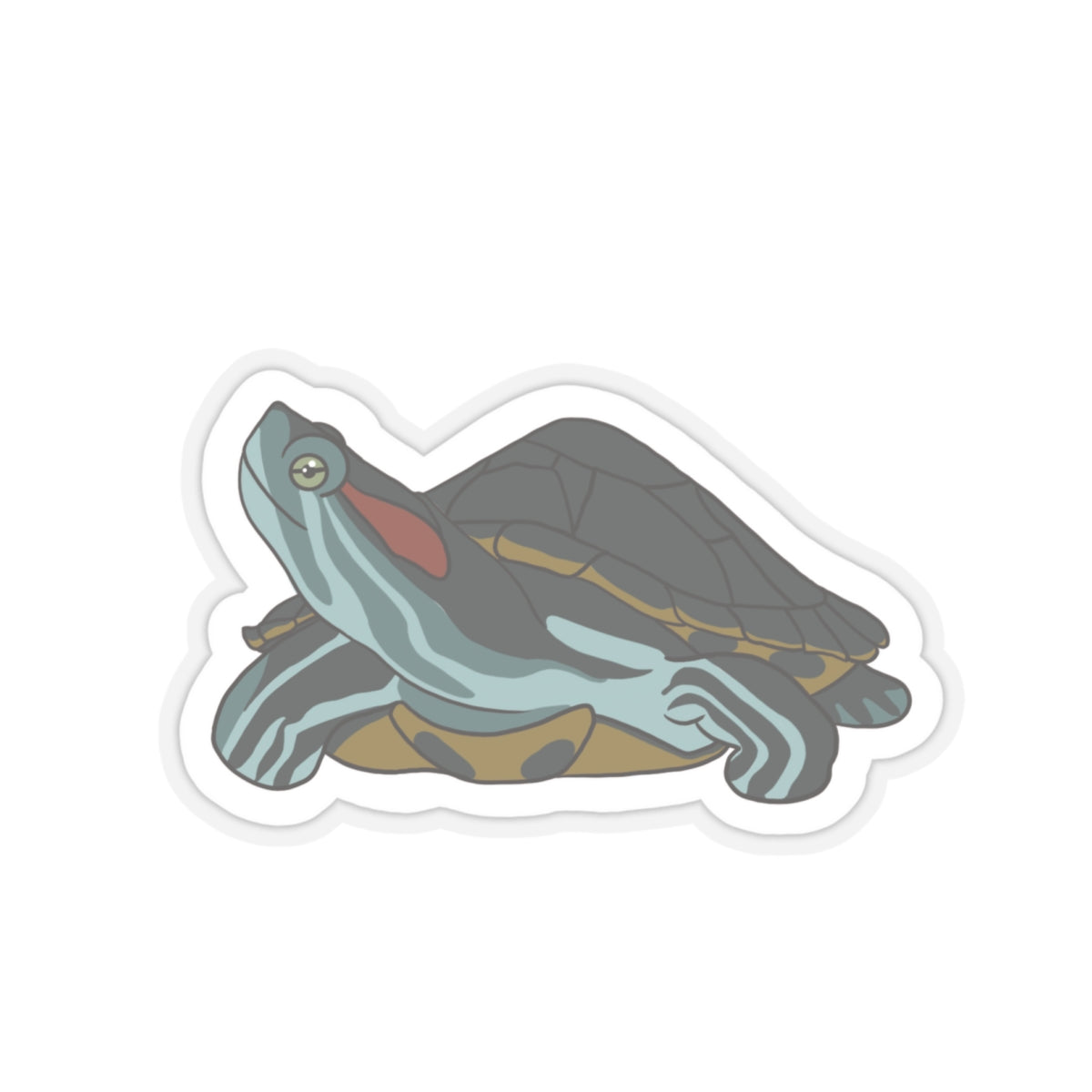 Red eared slider turtle Kiss-Cut Sticker Paper products Printify   