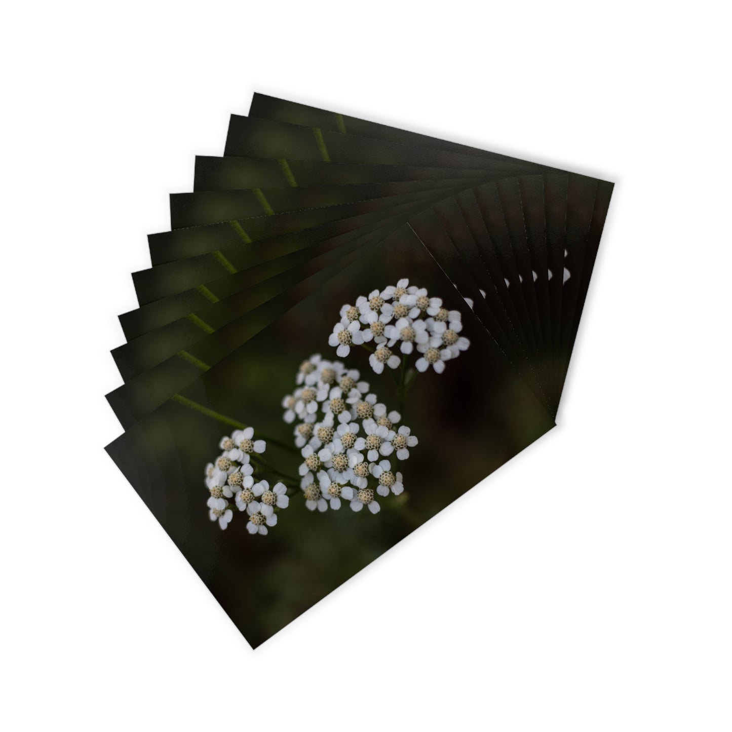 Floral Postcards (10pcs) Paper products Printify   