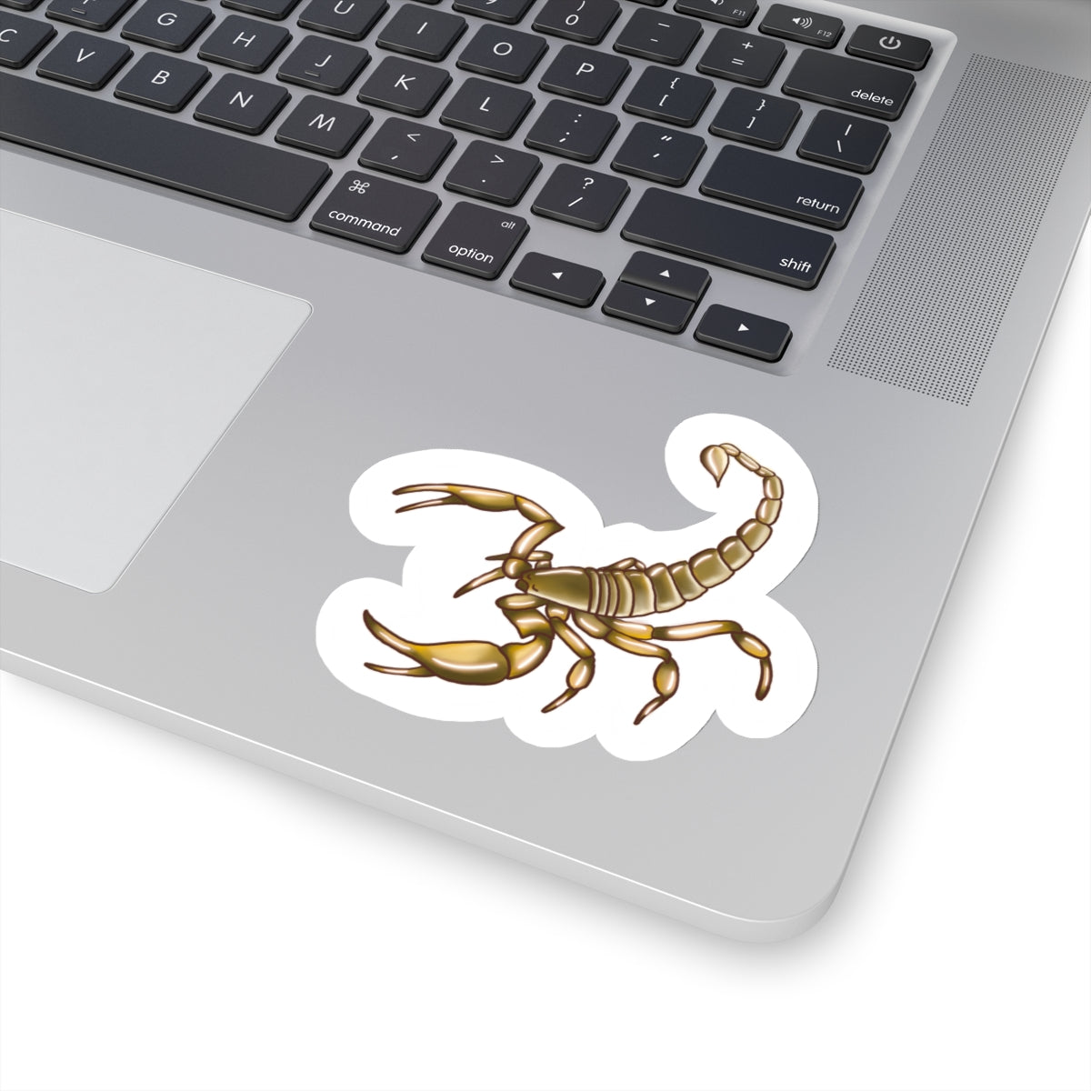 Scorpion Kiss-Cut Sticker Paper products Printify 4" × 4" White 