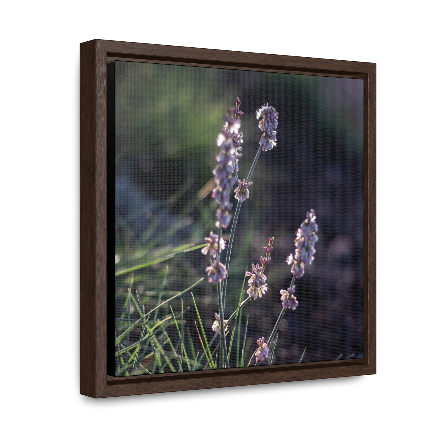 Macro purple flower photograph Gallery Canvas Wraps, Square Frame Canvas Printify   