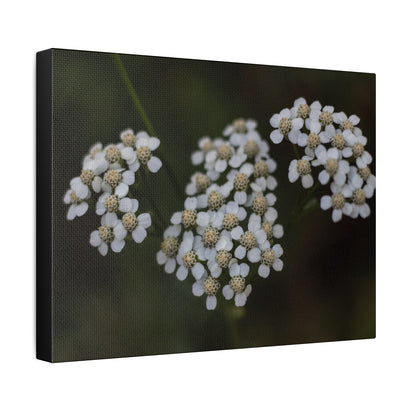 Floral Stretched Canvas Canvas Printify   