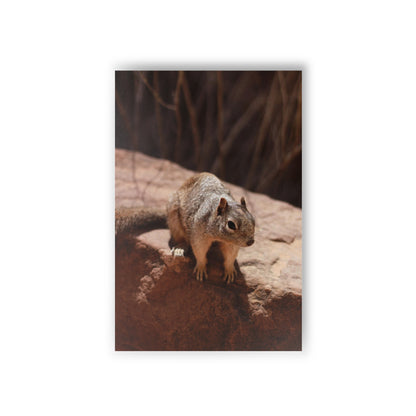 Squirrel Postcards (10pcs) Paper products Printify 10 pcs 3.9" x 5.9" White