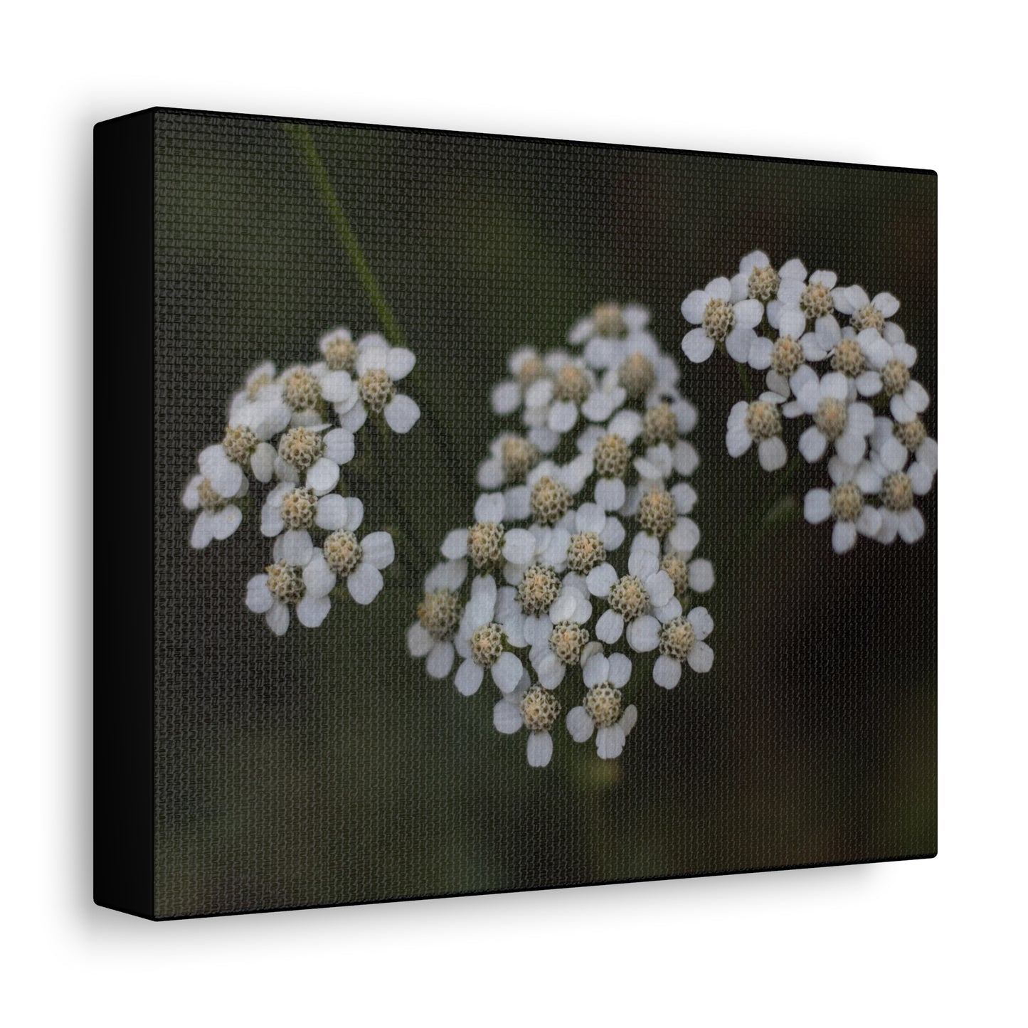 Floral Stretched Canvas Canvas Printify   