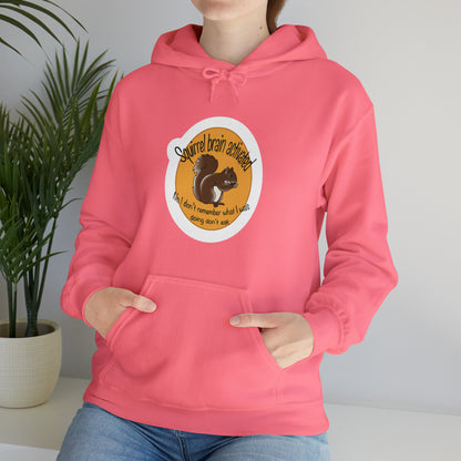 squirrel brain Unisex Heavy Blend™ Hooded Sweatshirt Hoodie Printify   