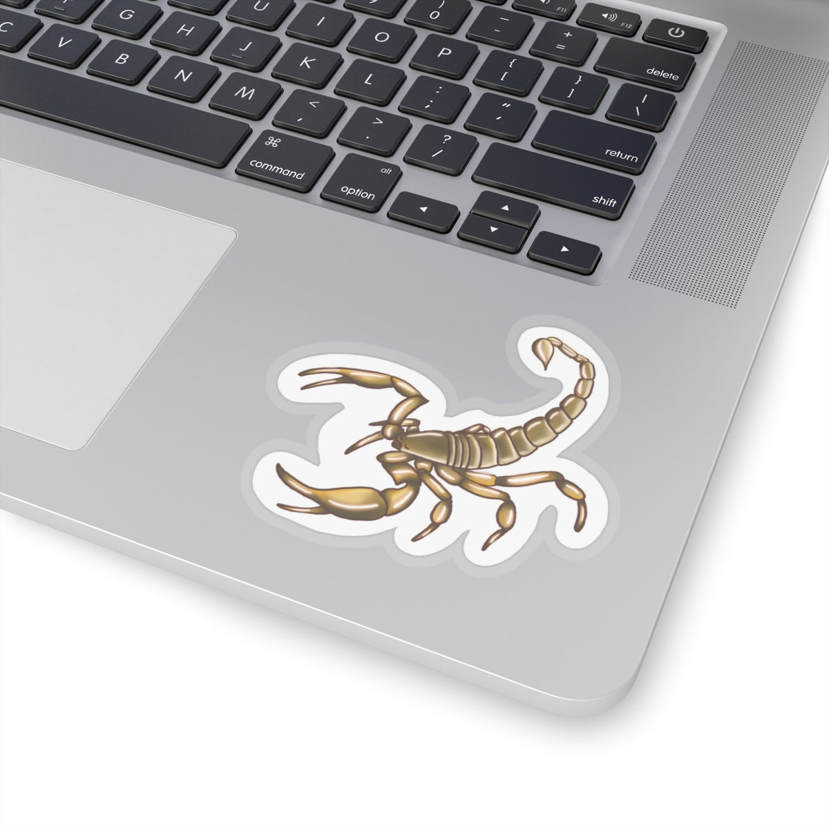 Scorpion Kiss-Cut Sticker Paper products Printify 4" × 4" Transparent 