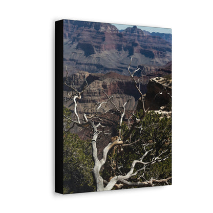 Grand Canyon Print Stretched Canvas Canvas Printify   