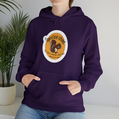 squirrel brain Unisex Heavy Blend™ Hooded Sweatshirt Hoodie Printify   