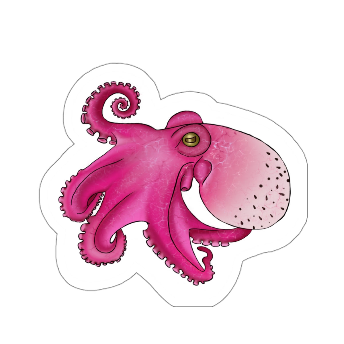 dragon fruit Octopus Kiss-Cut Sticker Paper products Printify   