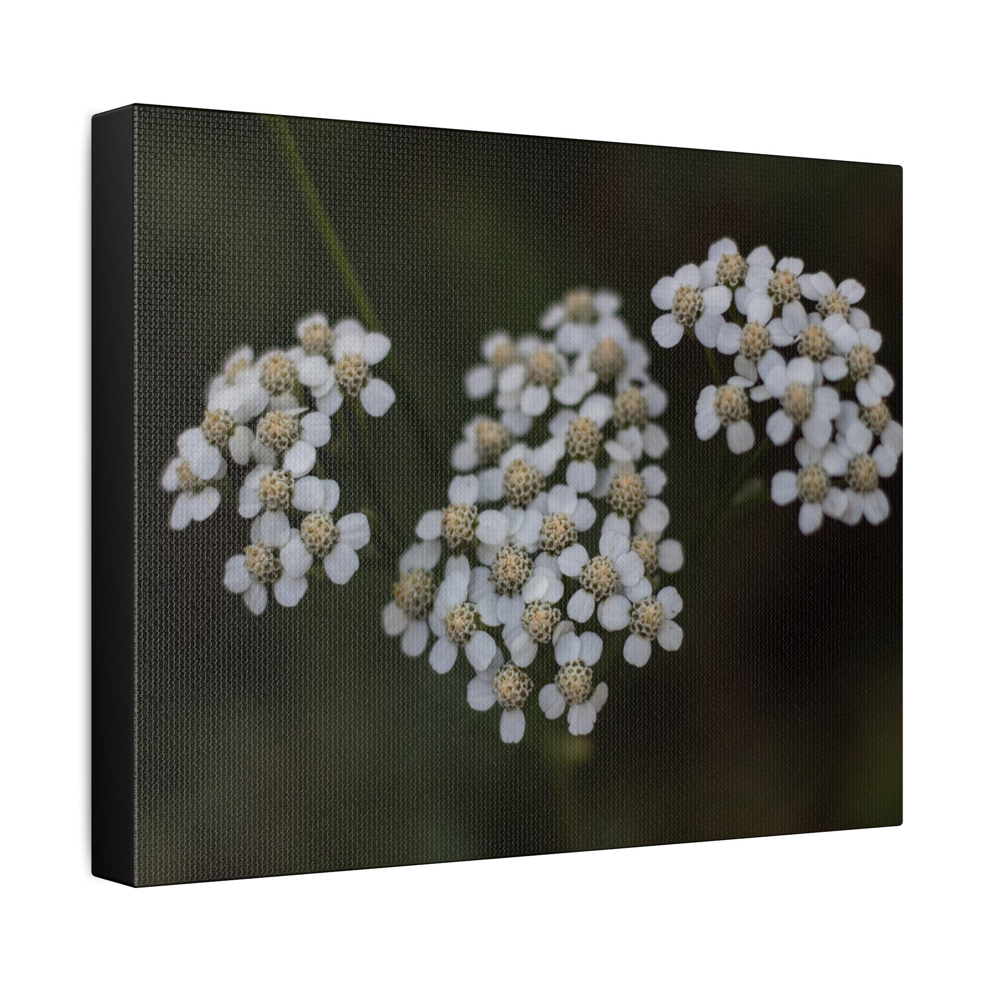 Floral Stretched Canvas Canvas Printify   