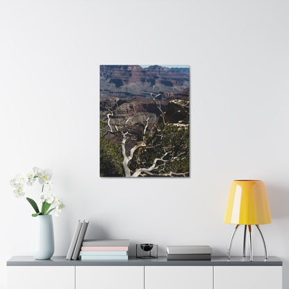 Grand Canyon Print Stretched Canvas Canvas Printify 1.5" 24″ x 30″ 