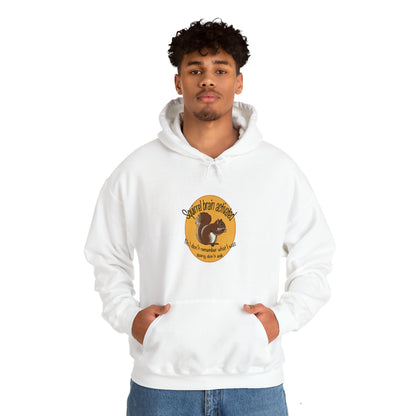 squirrel brain Unisex Heavy Blend™ Hooded Sweatshirt Hoodie Printify   