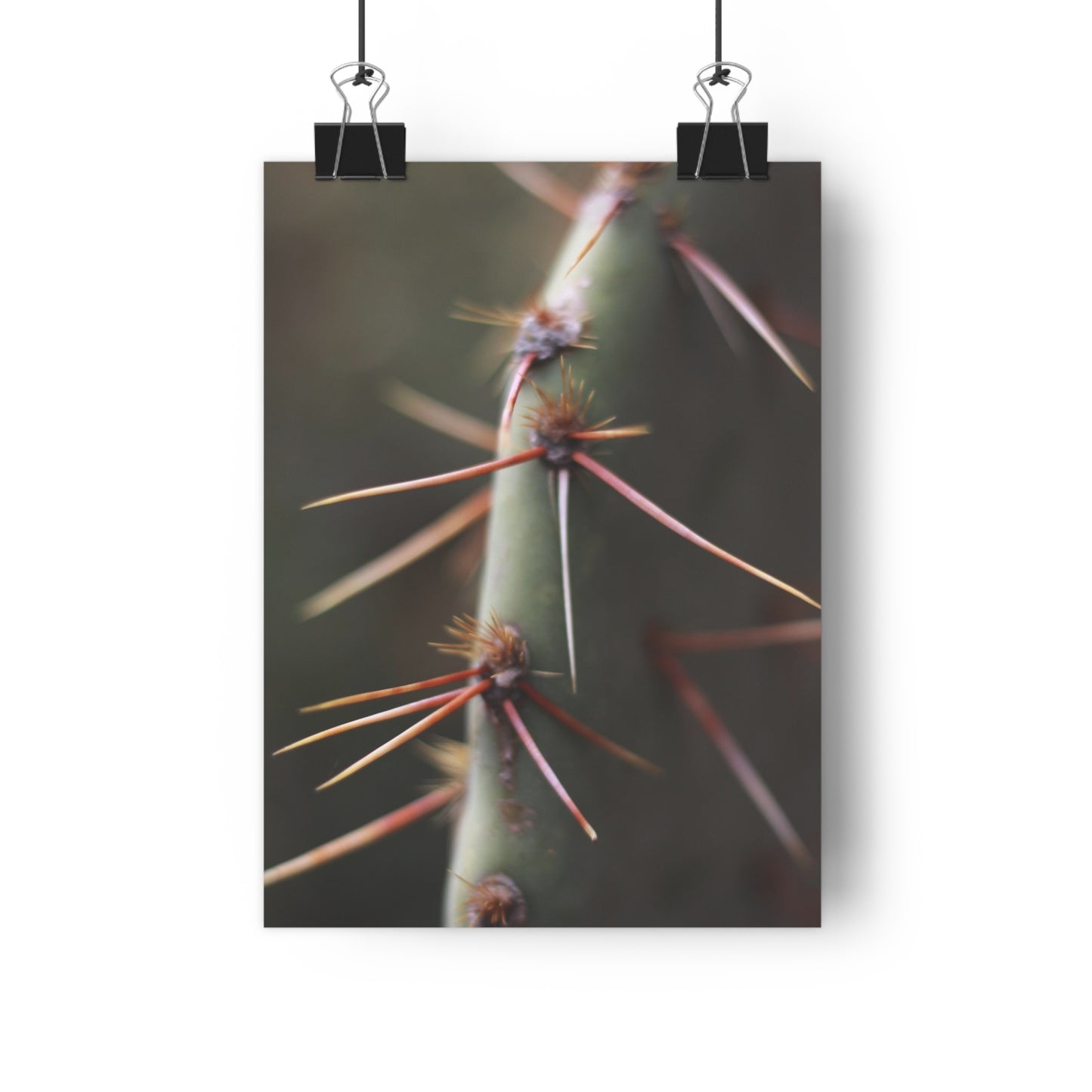 Macro Prickly pear Giclée Art Print Poster Printify 8" x 11" Matte 